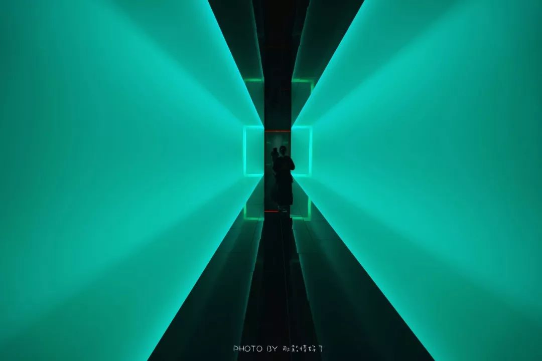 去哪里旅游可以看南极企鹅,旅游攻略南极看企鹅