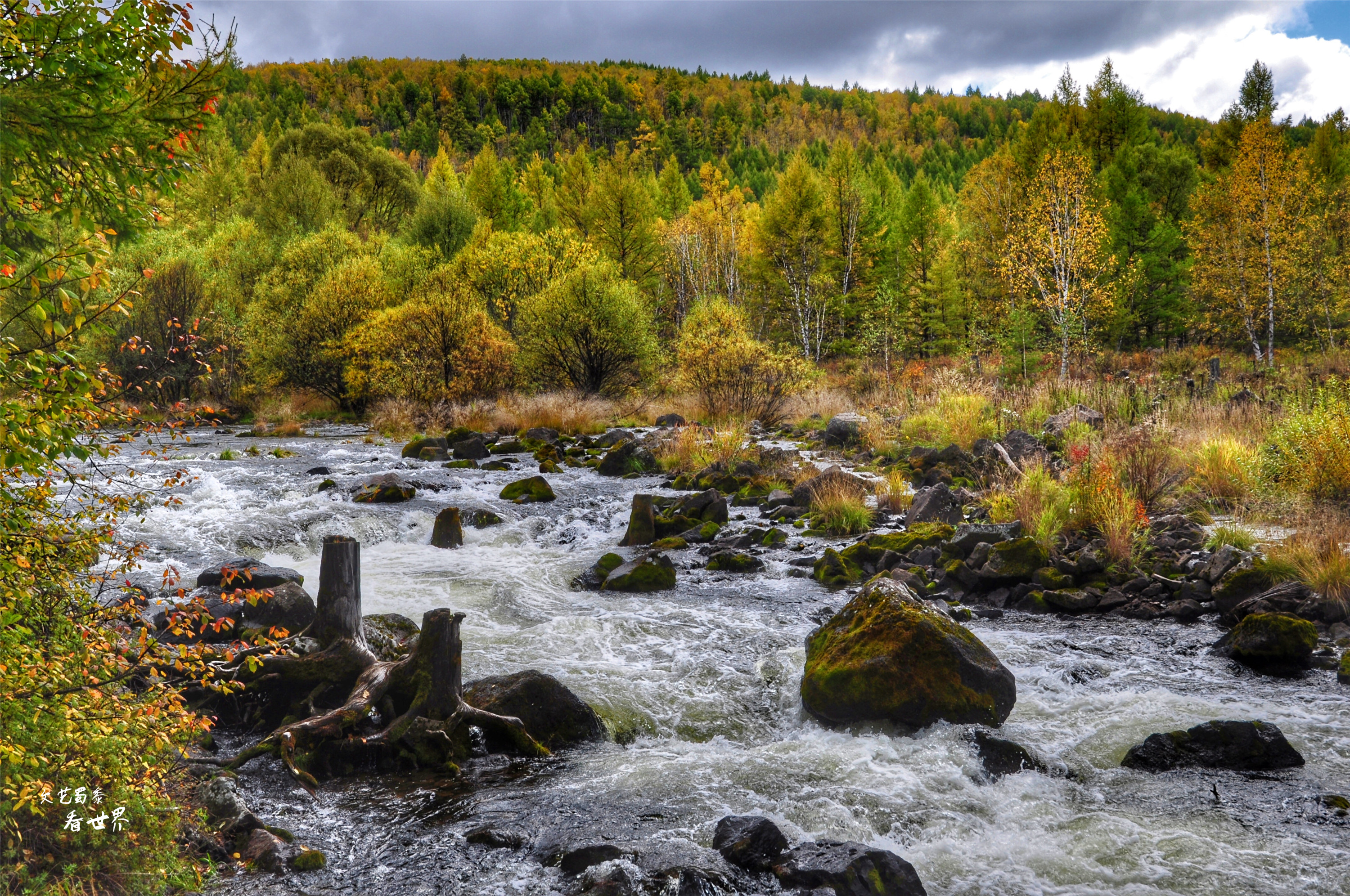 阿尔山的冬天就是童话世界,如果你第一次来到草原会感叹什么