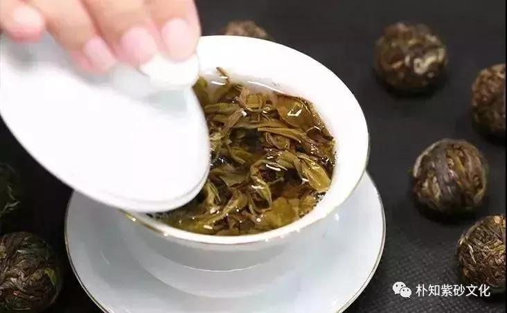 台地茶野生茶乔木茶古树茶区别,野生茶和茶园茶口感的区别