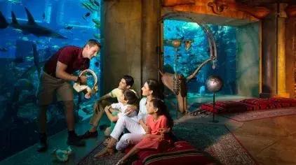 沉浸式乐园强势来袭游客“刷刷刷”不停