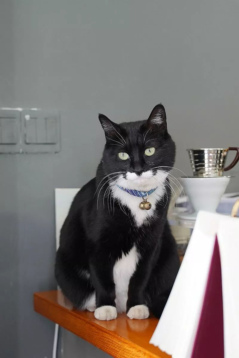 健康路熟不熟?这8家店你未必都吃过哇?