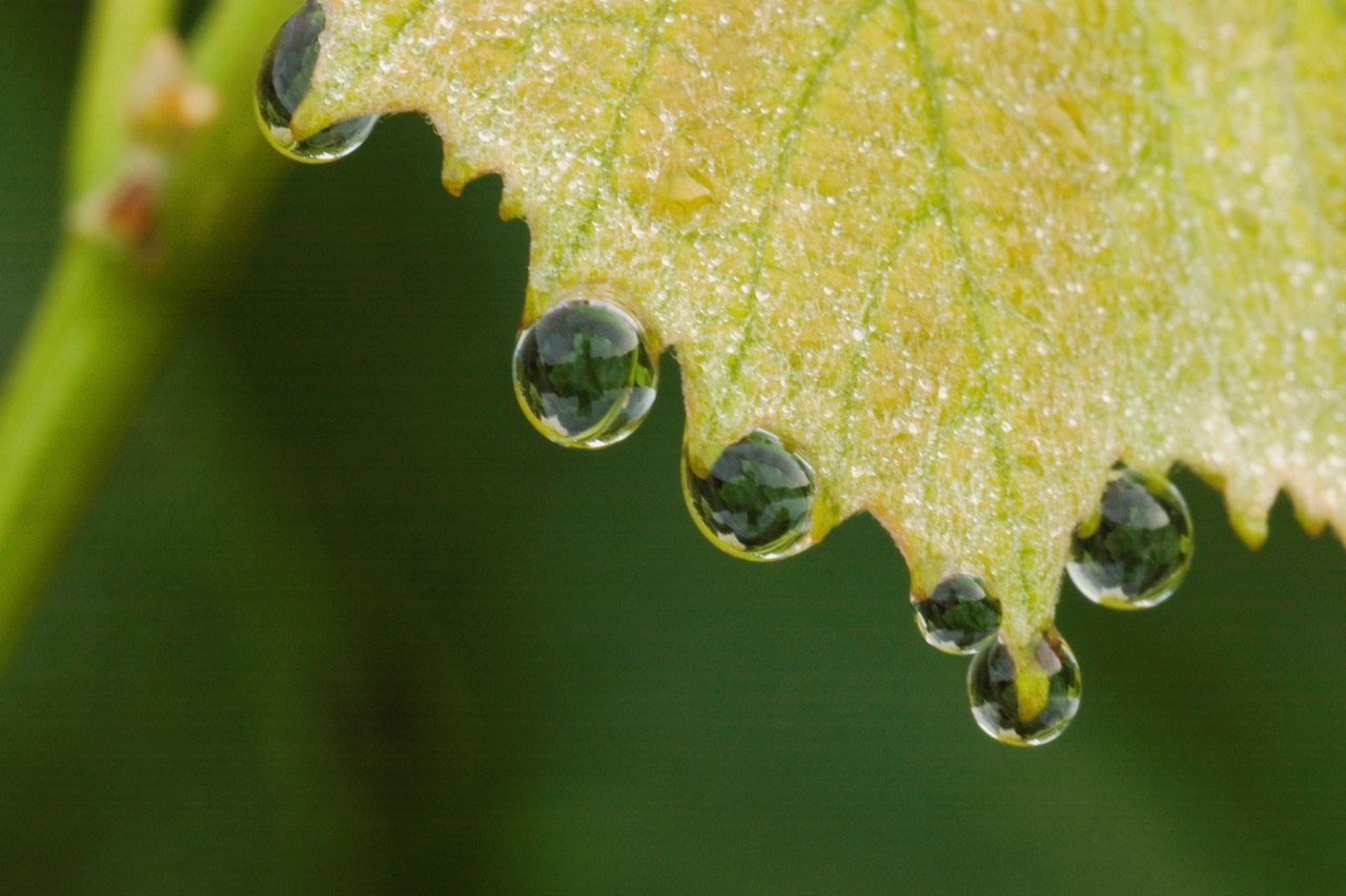 高中英语历年高考语法填空考点,高中英语高考高频单词