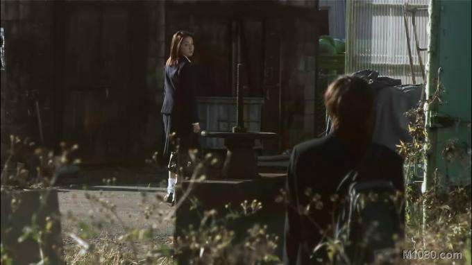 青春是绿色的,青春是绿色