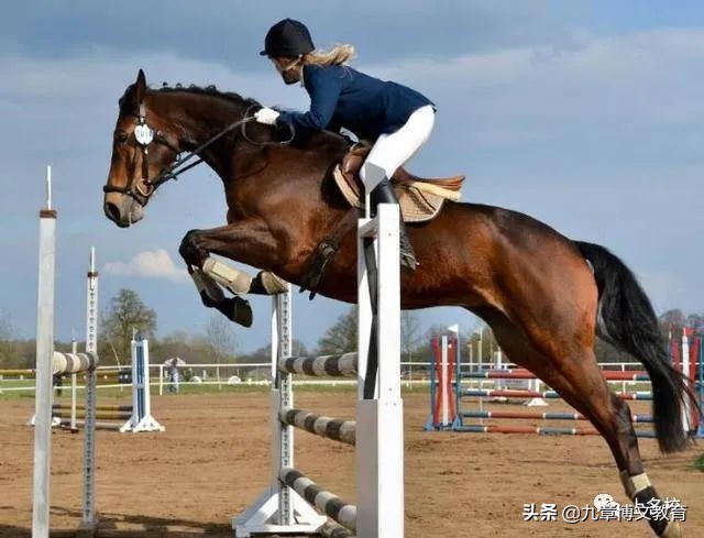 给孩子制定一个好的教育方式,孩子个性化教育学习思路