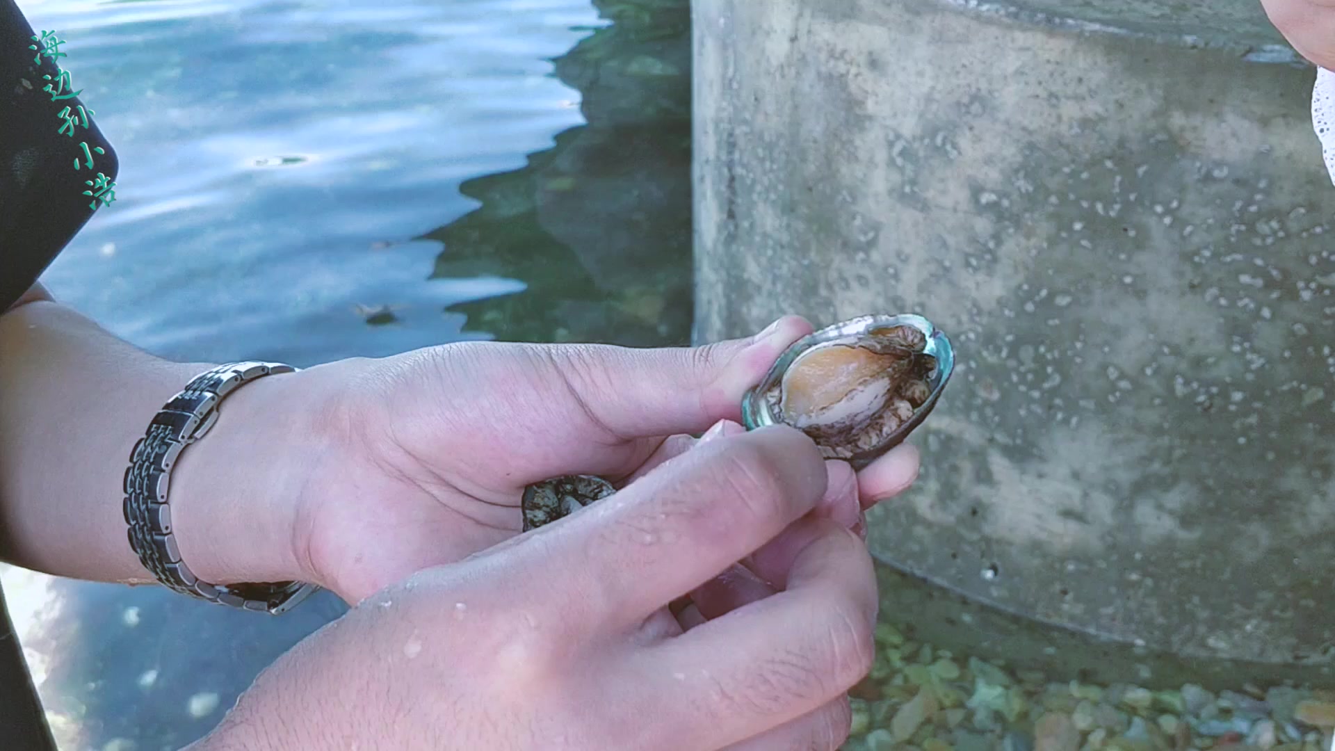 青岛看海赶海攻略,青岛夏天免费赶海圣地