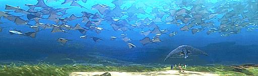 去马尔代夫玩哪个岛最值得推荐,去哪里旅游马尔代夫划算