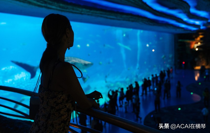 吃喝玩乐in珠海,珠海吃喝玩乐一体的地方