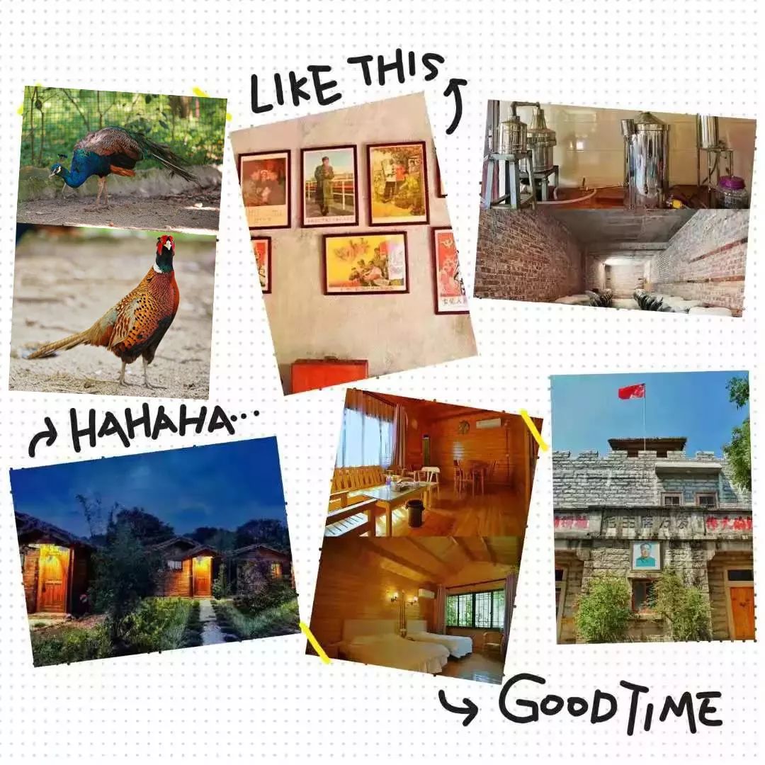 春节去旅行请收下这份防坑指南,春节旅行值得去的七大目的地