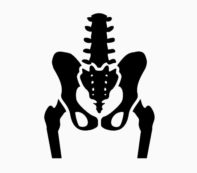 人工关节置换术后康复训练,股骨颈骨折人工置换术后康复训练