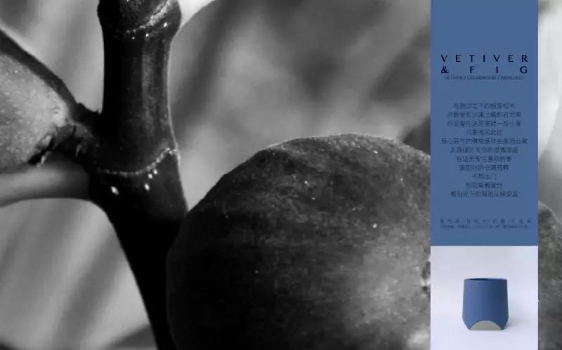 室内香水味道哪种好闻又持久,好闻的香水气味有哪些