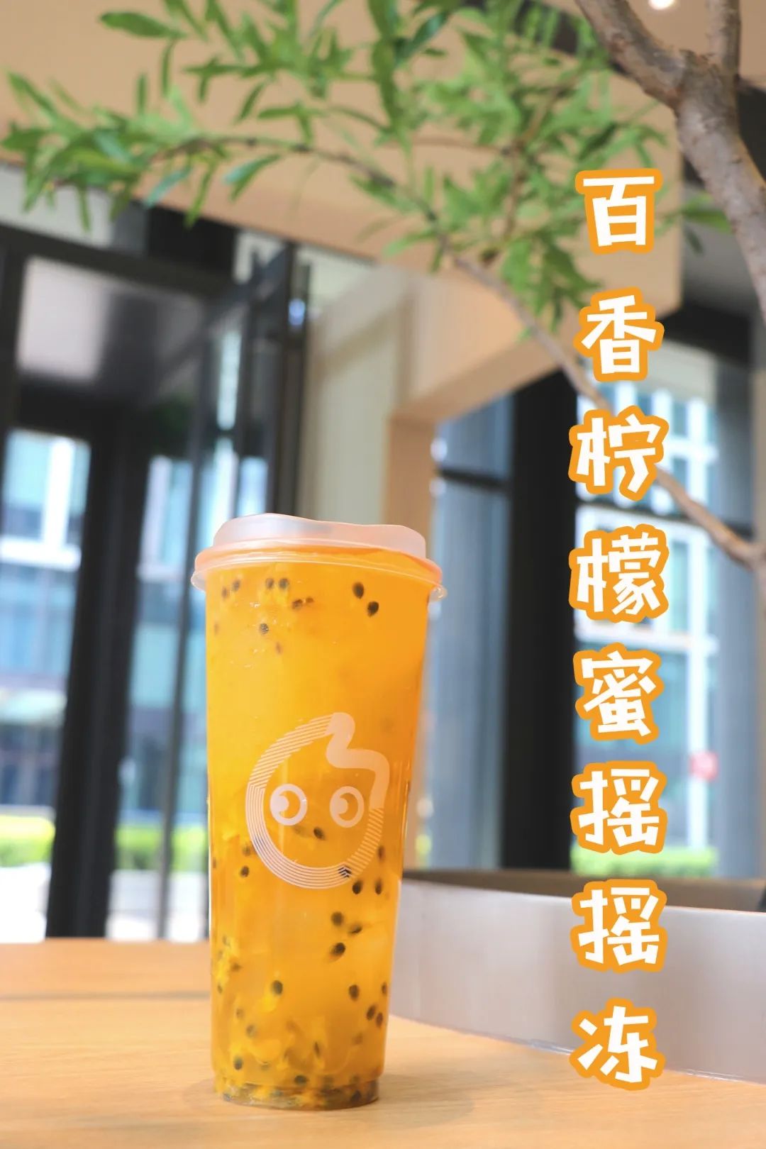 coco摇摇冻饮品推荐,coco奶茶半价活动