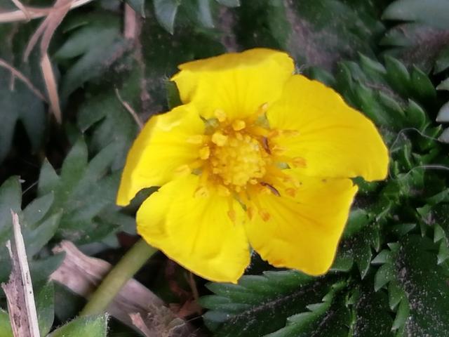 努力学习的动力来自哪里,努力学习的动力其实只有你