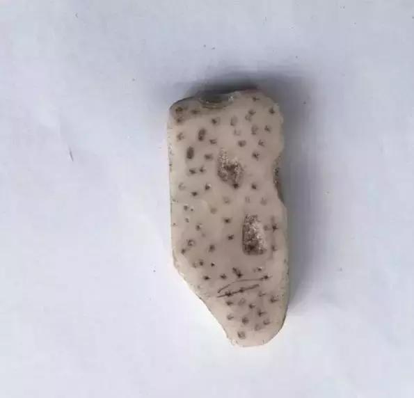 孩子上课不认真看哪个科,孩子上课不认真听玩橡皮