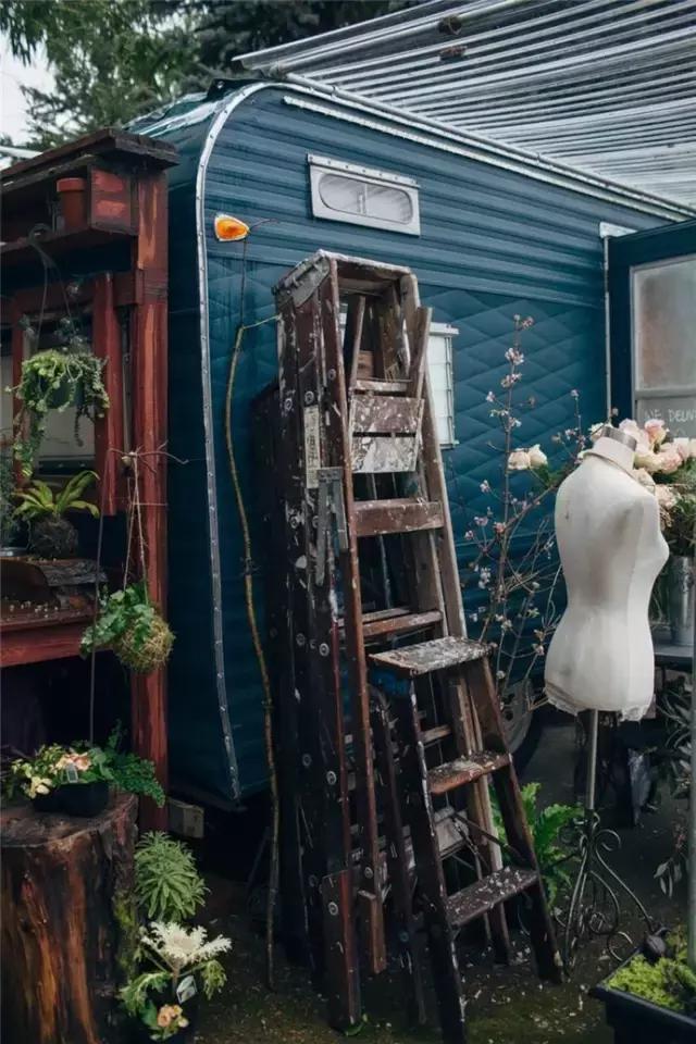 开一家有情怀赚钱的花店,全部积蓄开一家花店