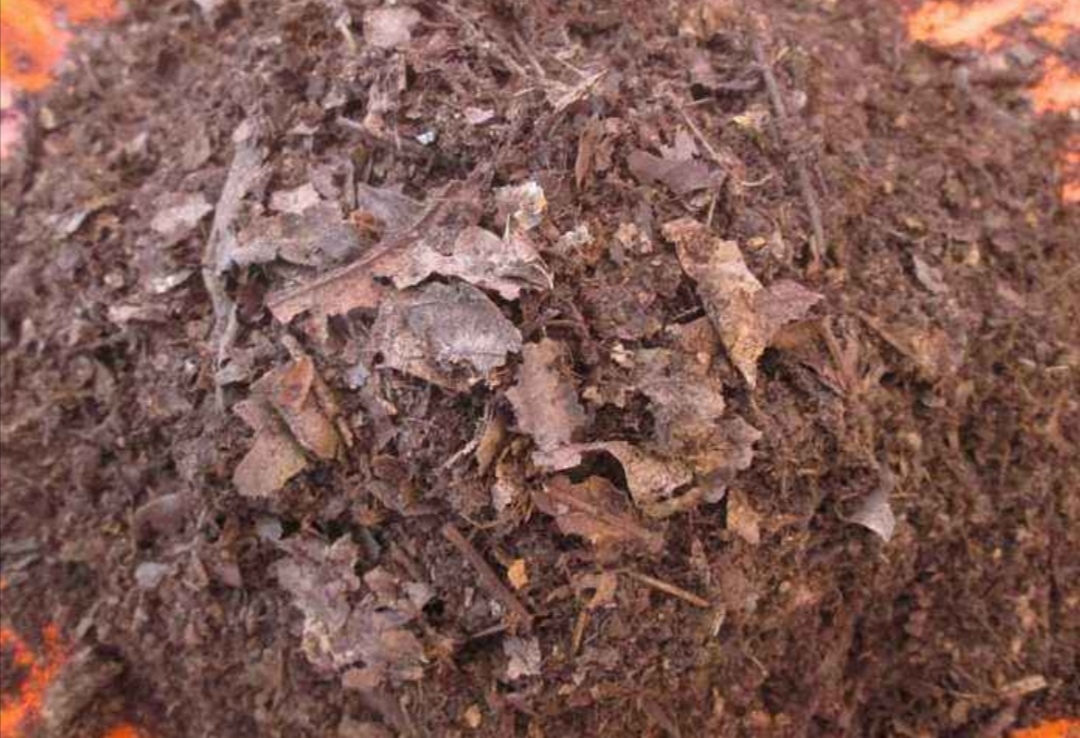 养花营养土怎么自制,在家如何制作养花营养土