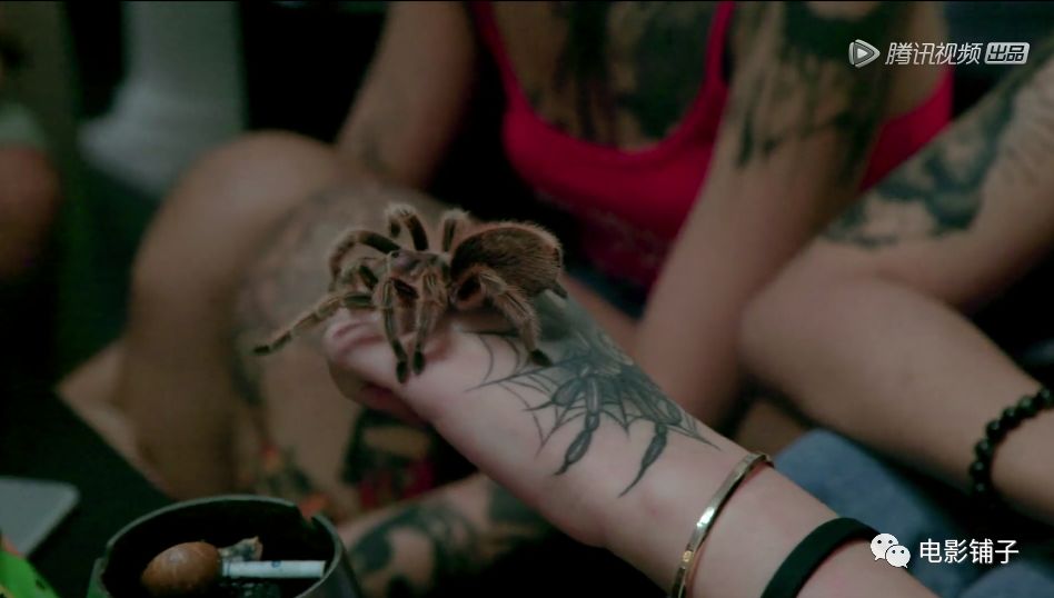 如此「变态」的欲望,这届有钱人真猛