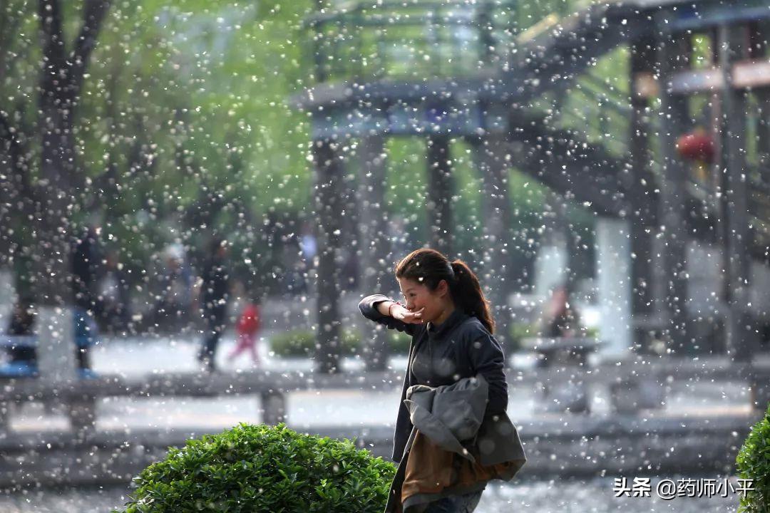漫天飞絮的防治方法,漫天飞絮处理方法