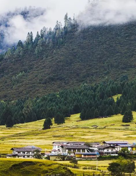 最美拉林公路自驾,高速路上一不小心误入仙境