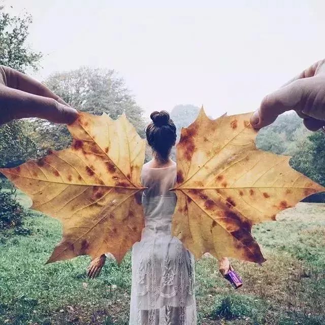 广东的秋天摄影,如何拍秋天风景照片