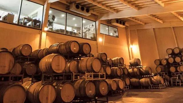 智利十大的酒庄排名榜最新,智利葡萄酒十大酒庄