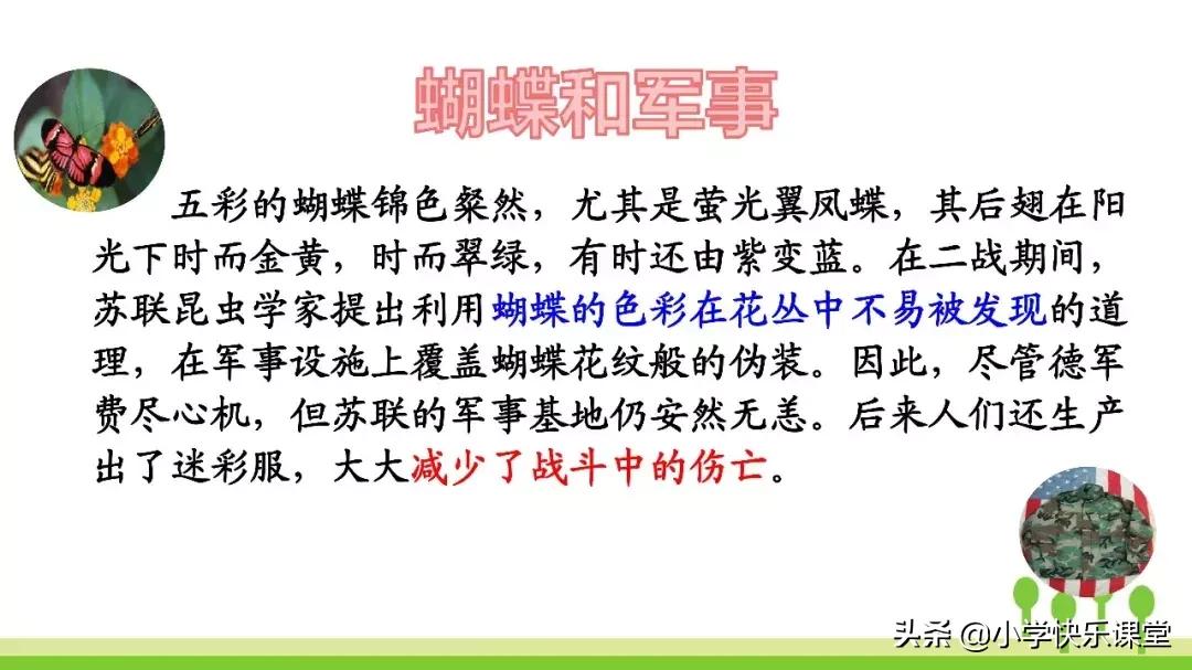四年级上册语文蝙蝠和雷达课后题,部编版四年级上册语文蝙蝠和雷达