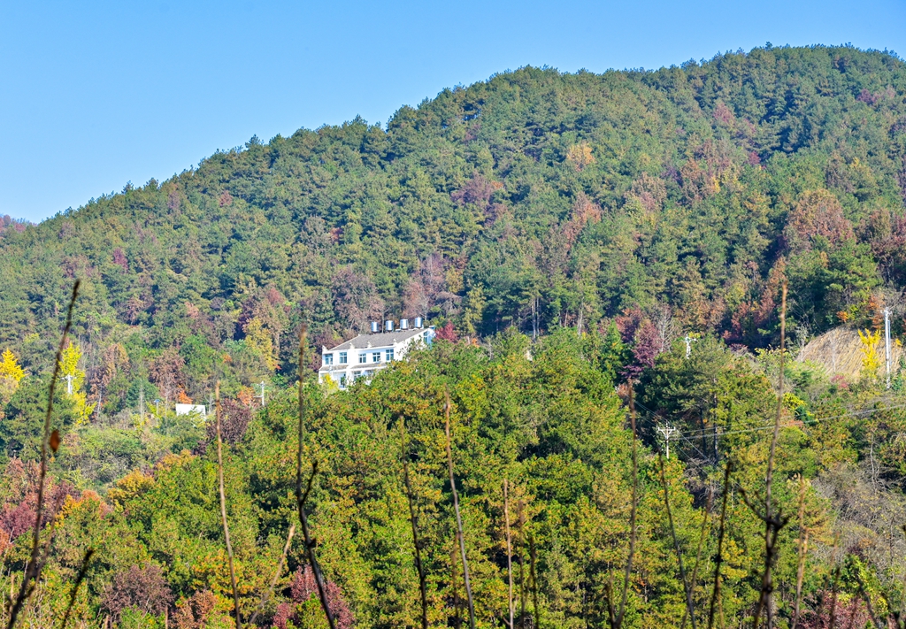 清凉寨美景,世界著名金秋山水风景油画