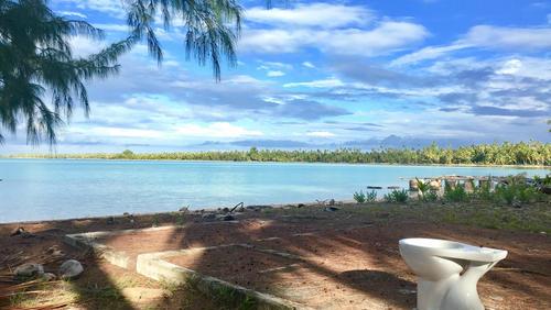 一个靠卖鸟粪而致富的国家,靠卖鸟粪致富的国家有哪几个