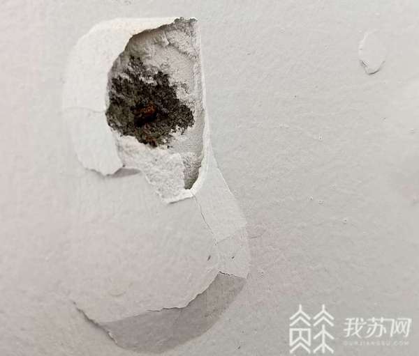 南京翠屏城新房墙壁到处“爆”点,建材有大问题