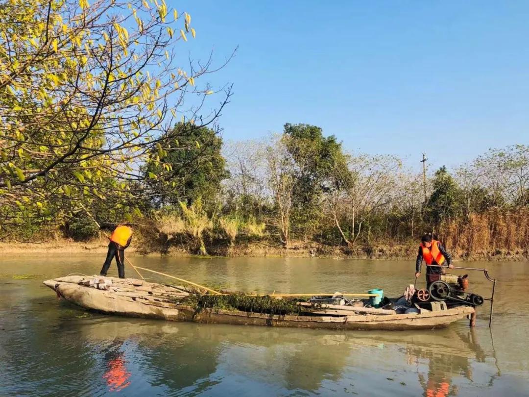 南浔区治水办、水利局开展水葫芦集中打捞行动联合督查