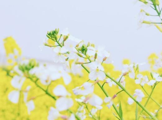 在乎你的人怎么舍得让你失联,真正爱你的人怎么可能失联