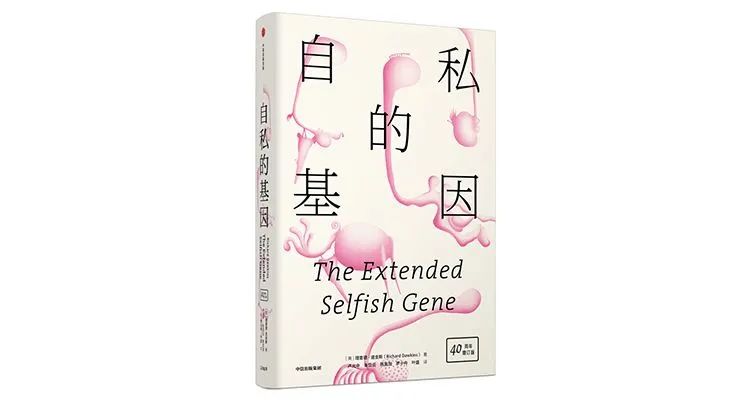 如何更好的度过2023年,如何更有效地度过2023年