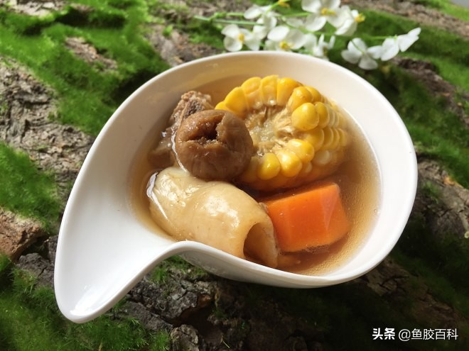 鱼胶煲汤的最佳配方,吃鱼胶宝宝