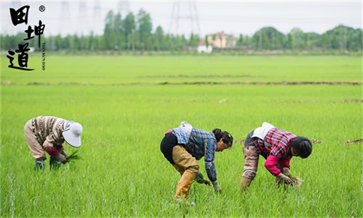 想做大米批发能赚钱吗,做大米批发好做吗