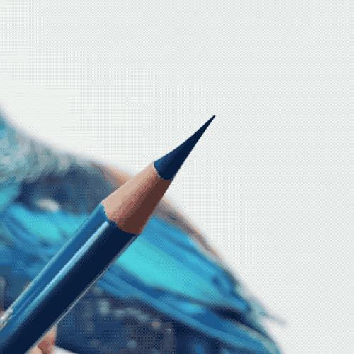 画的比照片还逼真,画的比照片还真实