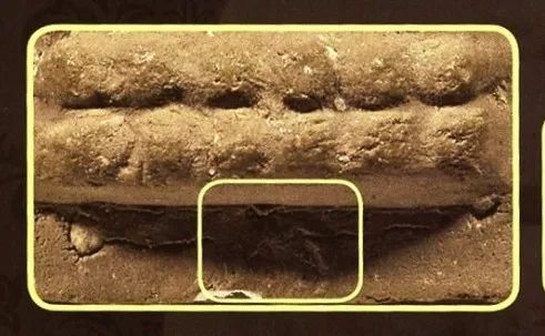 「鉴变」2494普陀耐大模第五袈裟线模