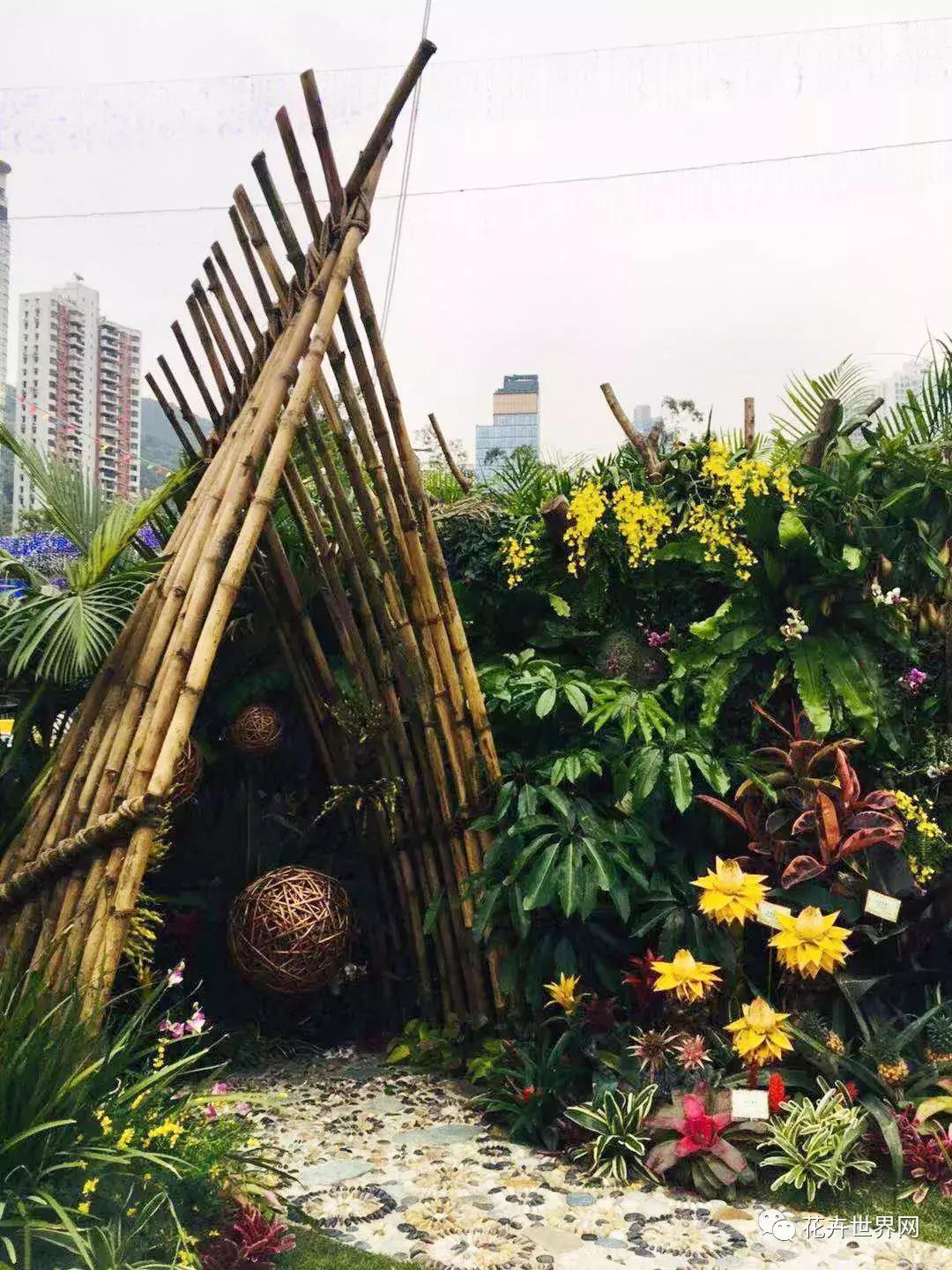 共赴盛会活动,香港国际花卉展