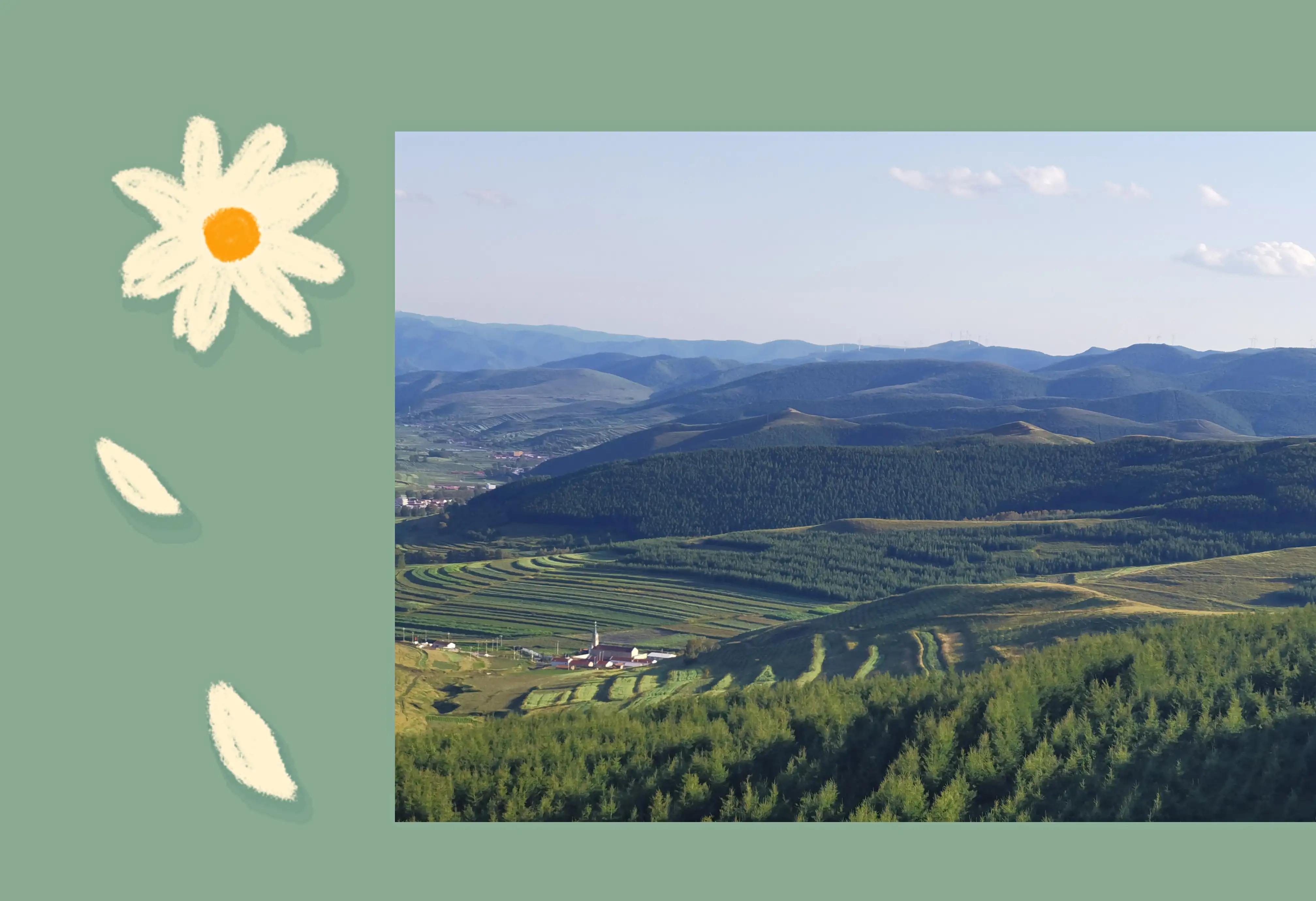 草原天路精彩视频,草原天路