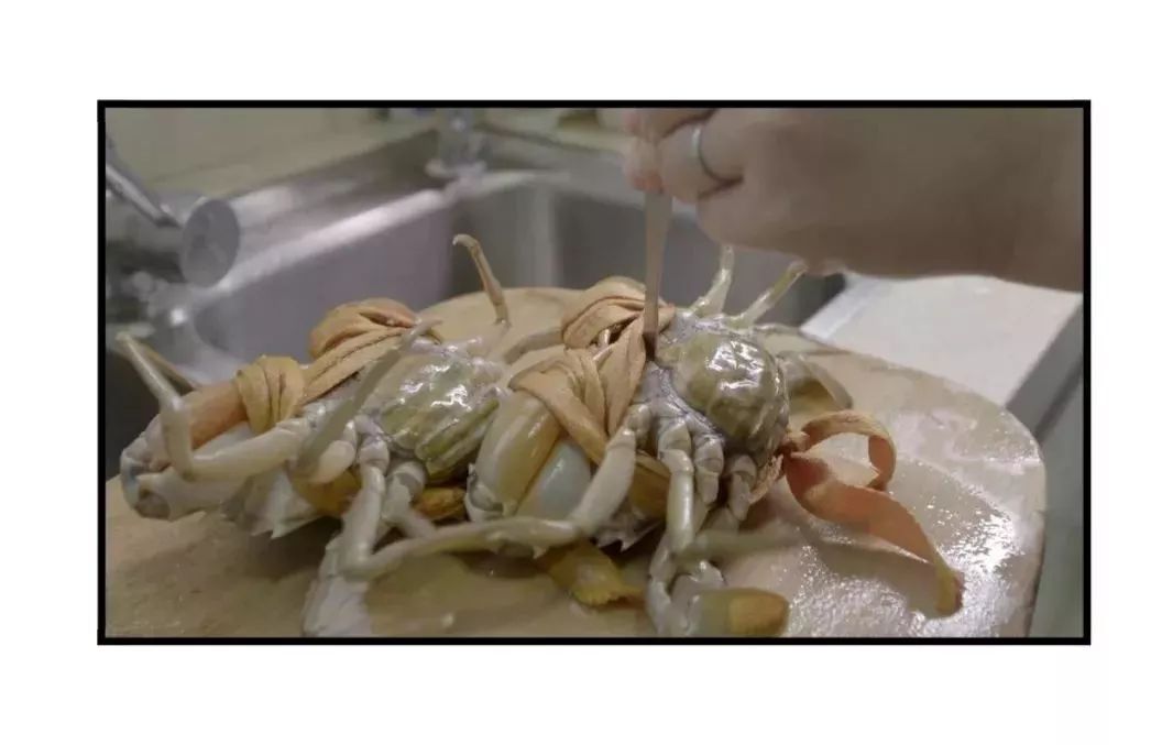 聊聊你不知道的手表秘密,青蟹小知识