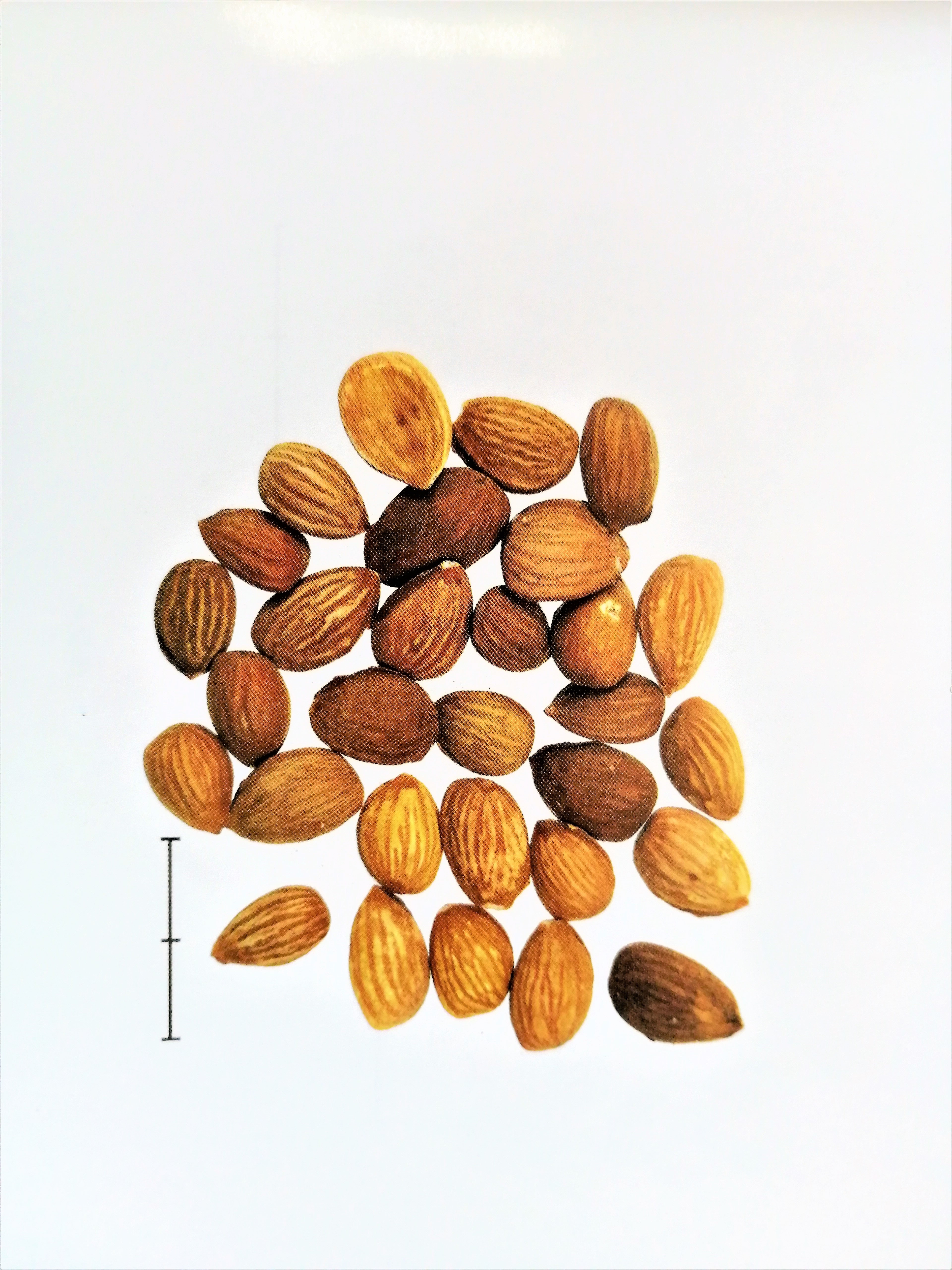 止痛中草药第一名,散瘀止痛的最佳方法