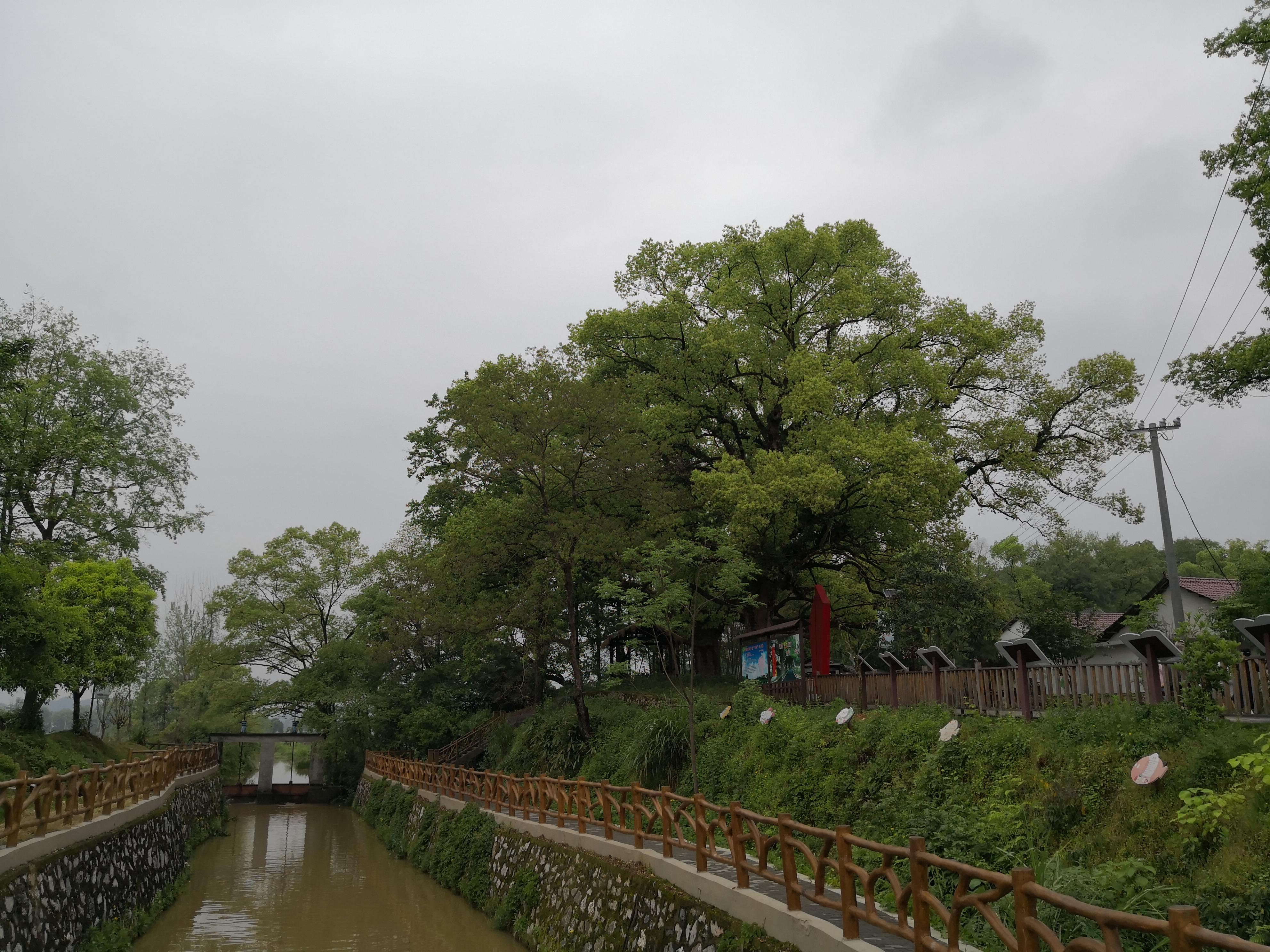 妈妈那边的亲戚称呼大全,山东亲属称呼大全