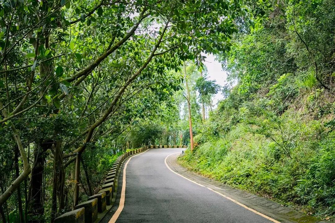 深圳值得去的地标,深圳值得去的景点排行榜