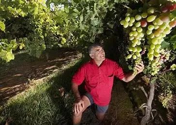 又一澳洲热门产品受阻！澳媒：澳洲留学业务遭中国中介叫停