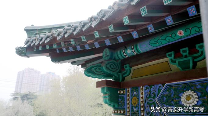 山东师范大学排名最新,山东省重点师范类高校