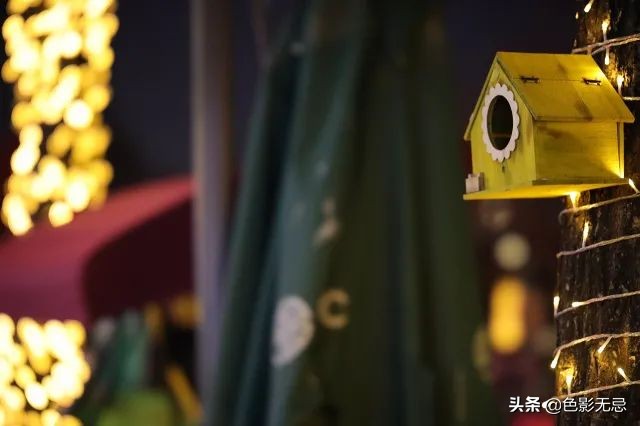 佳能85mm1.2rf对比柔焦版,佳能rf24-105mmf2.8镜头评测