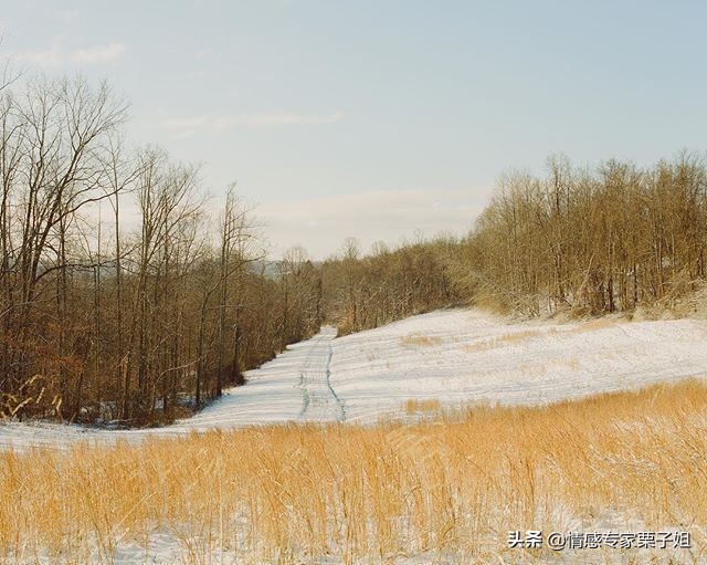 情感咨询|栗子姐每日情感问答(0619)