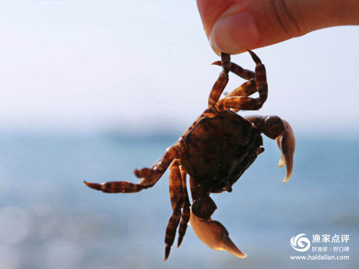 大连哈仙岛旅游攻略方案3天2夜,哈仙岛旅游几月份去最好