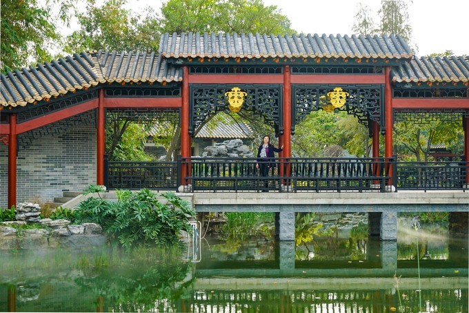 广东顺德美食旅游攻略学生,顺德自驾这份美食攻略要收好