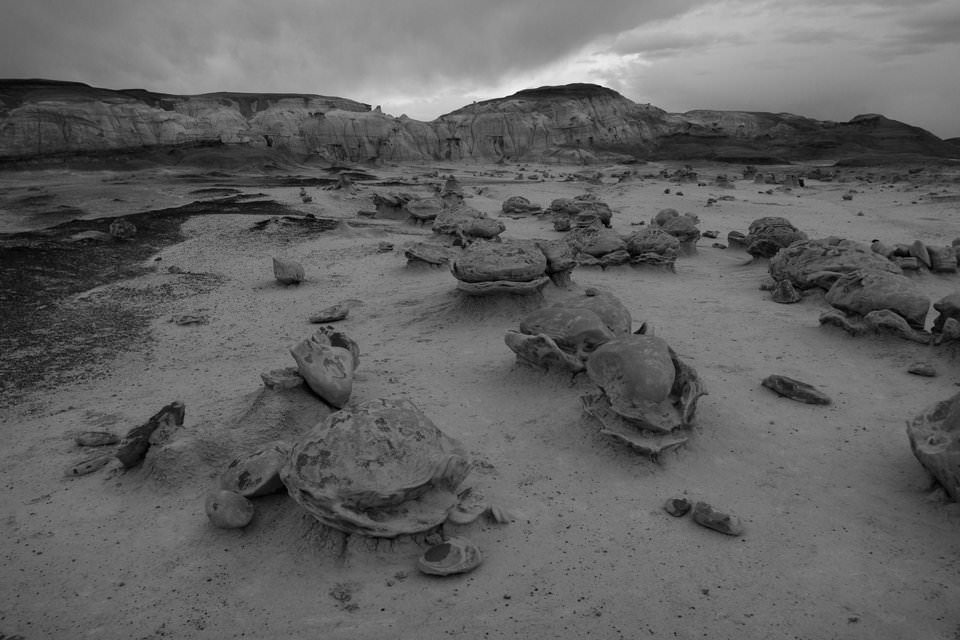 新手十大入门级单反,入门单反推荐排行