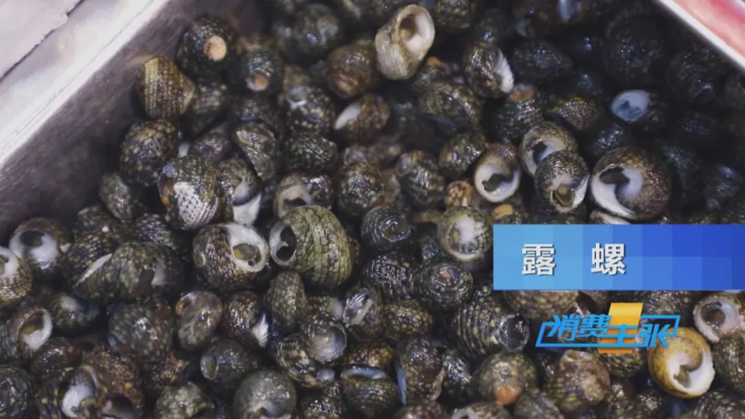 霞浦小众海鲜,霞浦吃海鲜地方推荐