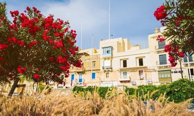 地中海岛国马耳他,马耳他地中海的璀璨明珠